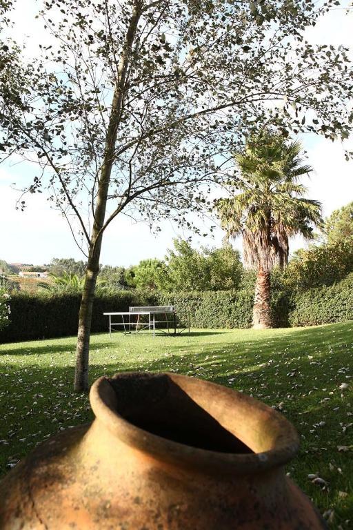 Casal Da Eira Branca - Turismo Rural - Caldas Da Rainha Guest House Екстериор снимка